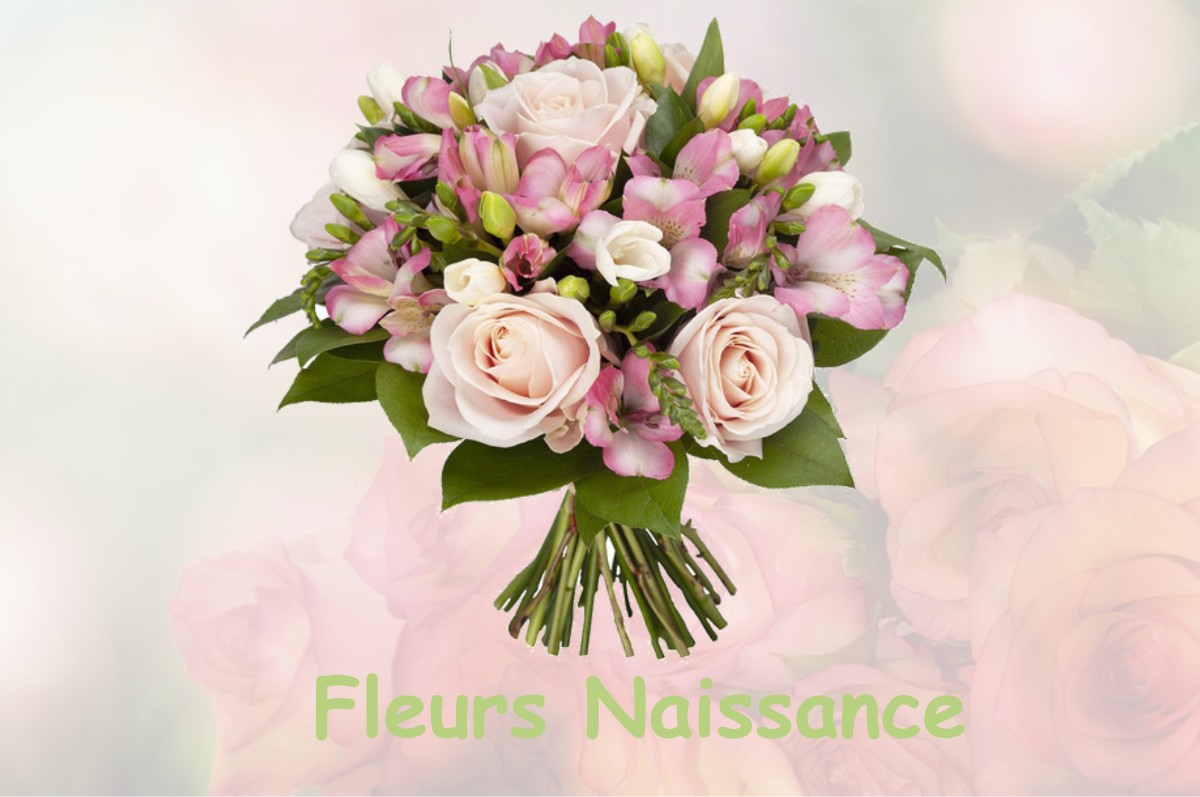 fleurs naissance CASTELNAU-VALENCE