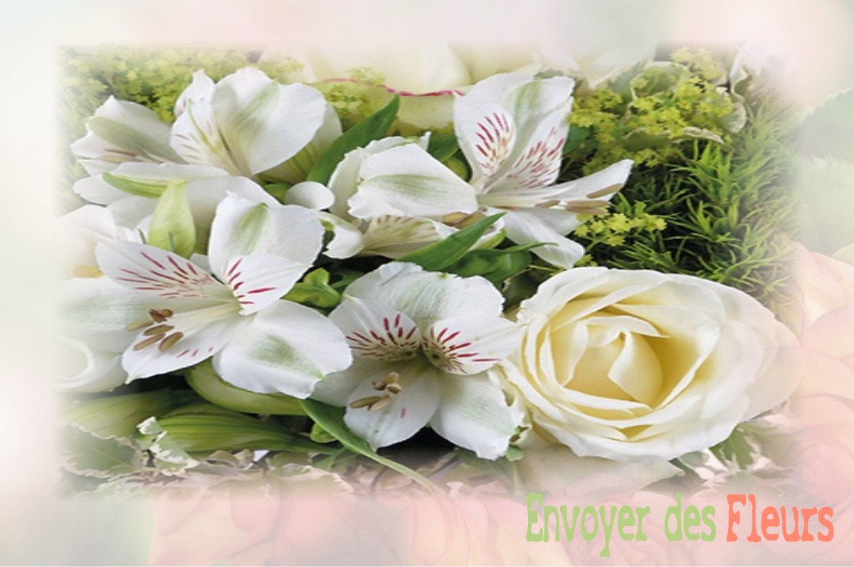envoyer des fleurs à à CASTELNAU-VALENCE